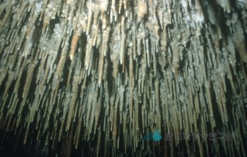 영월 연하동굴